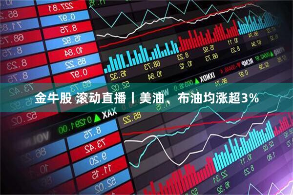 金牛股 滚动直播丨美油、布油均涨超3%