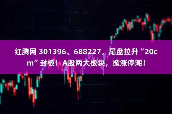 红腾网 301396、688227，尾盘拉升“20cm”封板！A股两大板块，掀涨停潮！