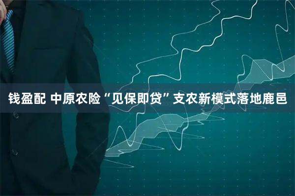 钱盈配 中原农险“见保即贷”支农新模式落地鹿邑