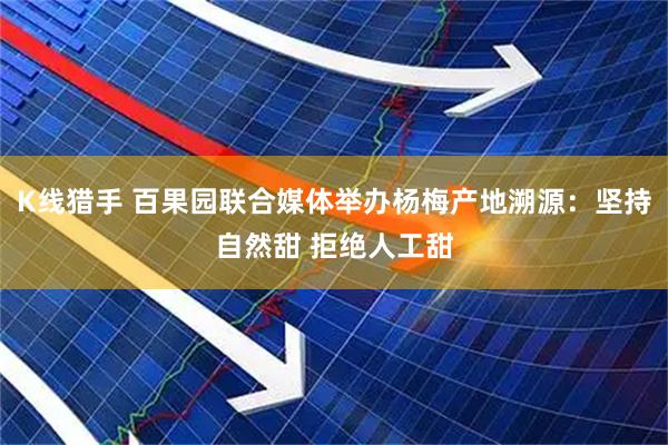 K线猎手 百果园联合媒体举办杨梅产地溯源：坚持自然甜 拒绝人工甜