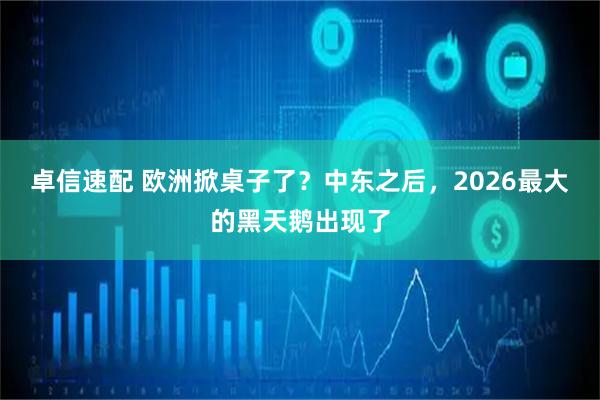 卓信速配 欧洲掀桌子了？中东之后，2026最大的黑天鹅出现了