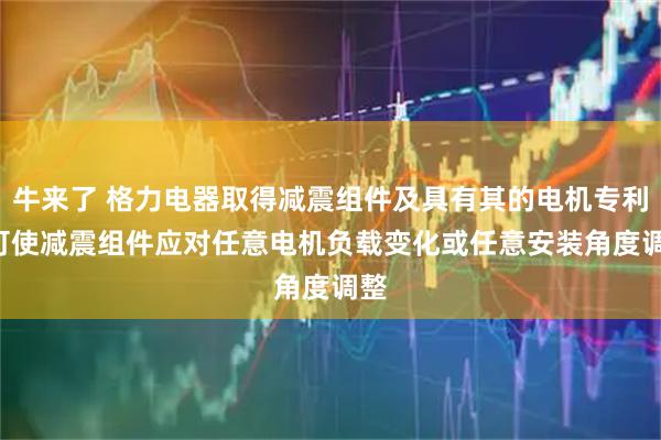牛来了 格力电器取得减震组件及具有其的电机专利, 可使减震组件应对任意电机负载变化或任意安装角度调整