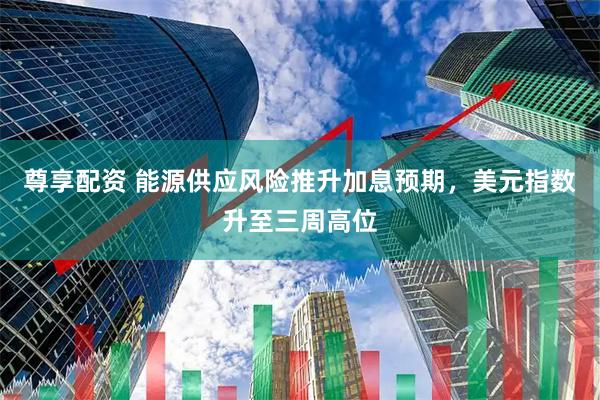 尊享配资 能源供应风险推升加息预期，美元指数升至三周高位